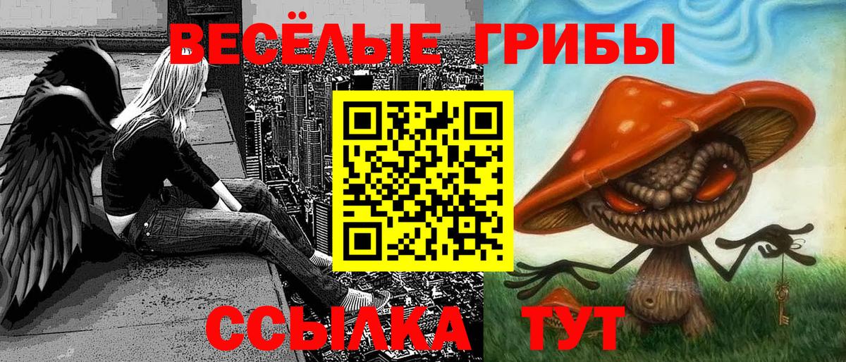 Североуральск  Псилоцибиновые грибы Psilocybe  Вход с VPN  Галлюциногенные грибы ЛСД 