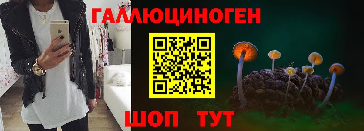 Галлюциногенные грибы прущие грибы Североуральск